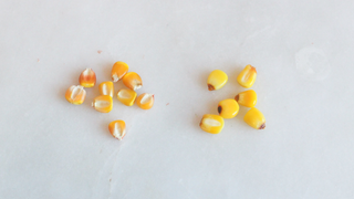 Illustration for article titled Turn a Bag of Smartfood Popcorn Into a Bowl of Grits